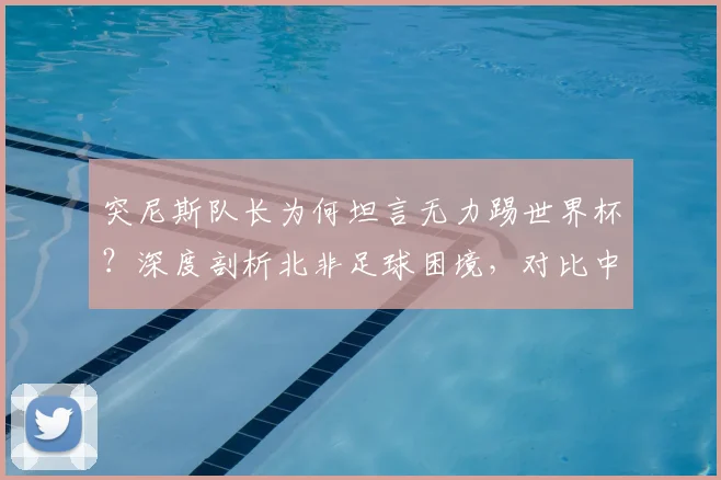 突尼斯队长为何坦言无力踢世界杯?深度剖析北非足球困境,对比中国足球现状引深思