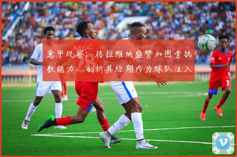 意甲观察：格拉维纳盛赞加图索执教能力，剖析其短期内为球队注入激情与铁血风格的关键方法